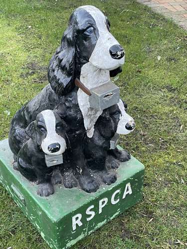 RSPCA Spaniel Guide Dog Life Size Collection Money Box c1950s