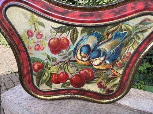 Jacob & Co Dublin Bird Image Buttley Fly Shaped Biscuit Tin c1900s