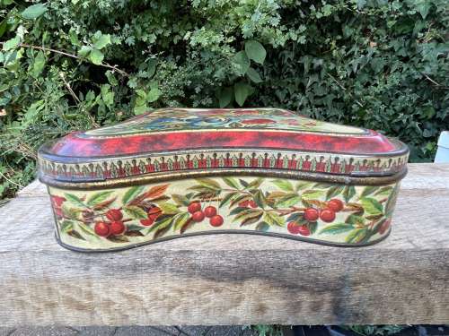 Jacob & Co Dublin Bird Image Buttley Fly Shaped Biscuit Tin c1900s