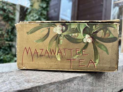 Victorian Holly Mazawattee Tea Christmas Advertising Shop Box c1900s