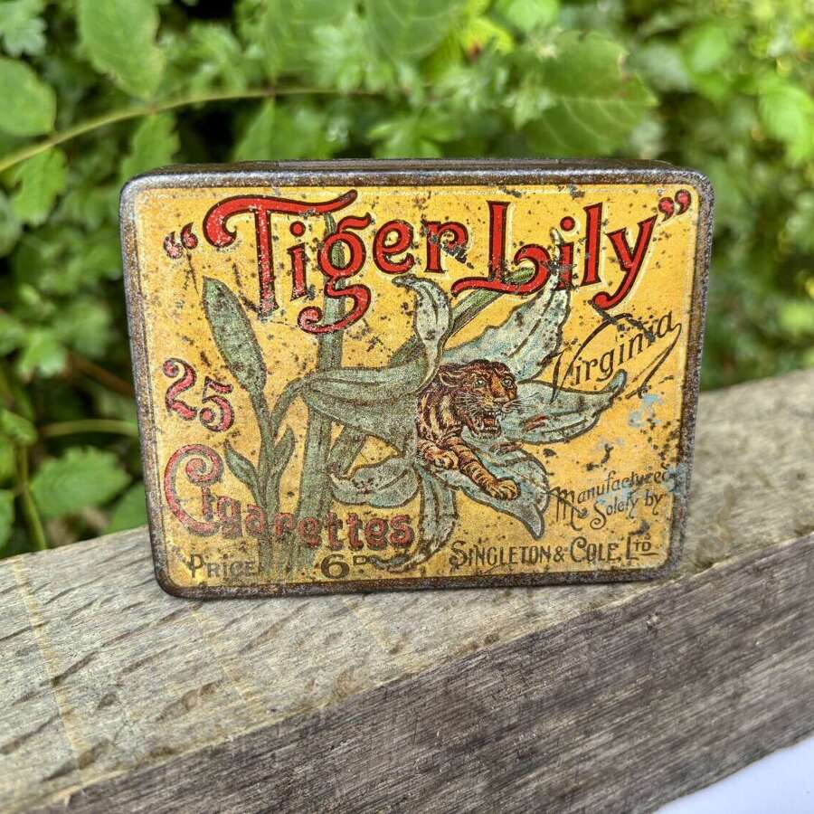 Tiger Lily Singleton & Cole 20 Cigarette Tin c1890s