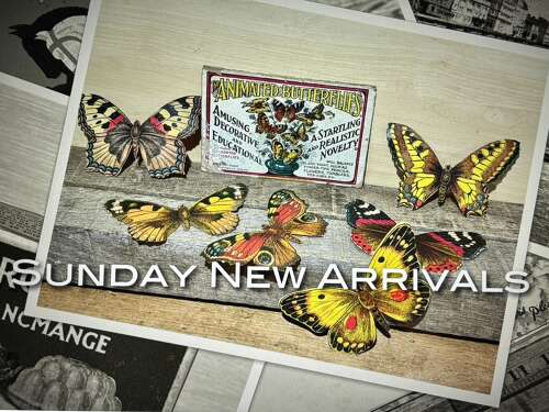 New Arrivals Video Feb 1st 2026 - Live by 6PM GMT