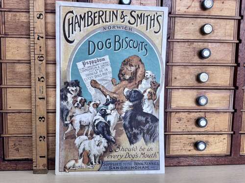 Superb Chamberlin & Smith Dog Biscuit Advertising Trade Card Ephemera c1900s