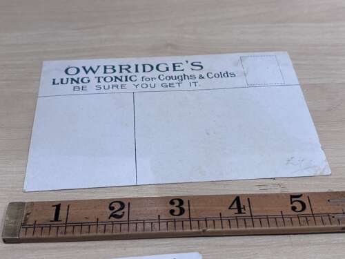 Owbridge's Lung Tonic Horse Image Advertising Trade Post Card Ephemera c1900s