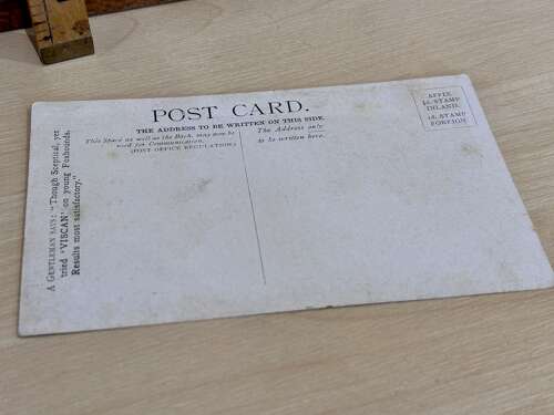 City Meat Pet Dog Food Biscuits Collie Advertising Trade Card c1900s