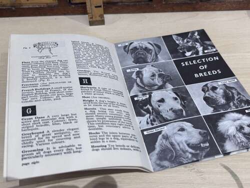 Bob Martin's Dog Pet Dictionary Advertising Booklet c1950s