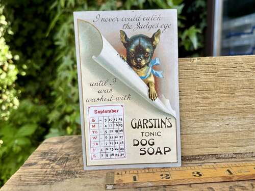 Garstin's Tonic Dog Soap Pet Advertising Trade Post Card Ephemera c1900s