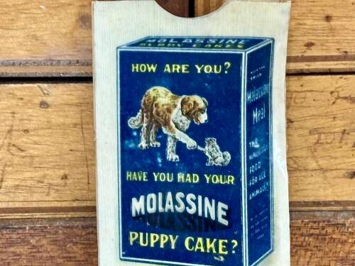 Superb Mollasine Dog Food & Puppy Cake Advertising Celluloid Card Holder Ephemera c1900s