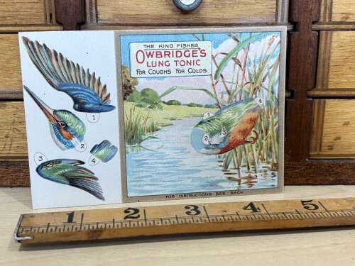 Oxbridge's Tonic Kingfisher Bird Die-Cut Advertising Trade Card Ephemera c1900s