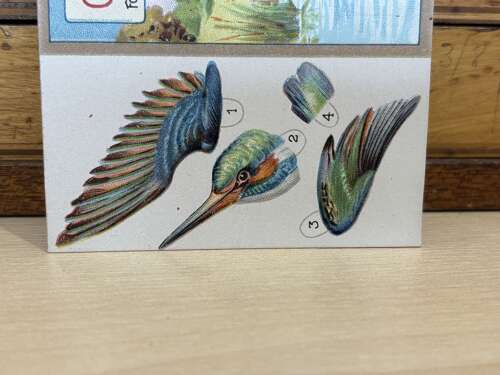 Oxbridge's Tonic Kingfisher Bird Die-Cut Advertising Trade Card Ephemera c1900s