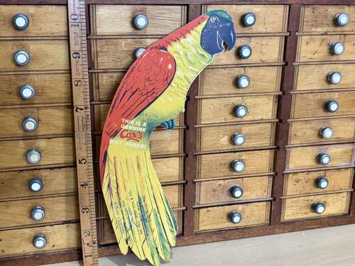 Superb Cox DDT Poison Parrot Bird Advertising Trade Card Ephemera c1900s (No Poison)