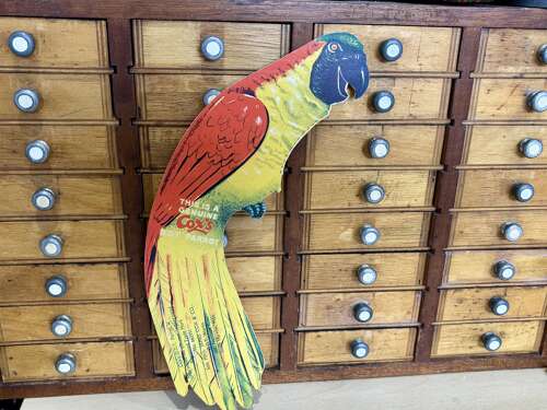 Superb Cox DDT Poison Parrot Bird Advertising Trade Card Ephemera c1900s (No Poison)