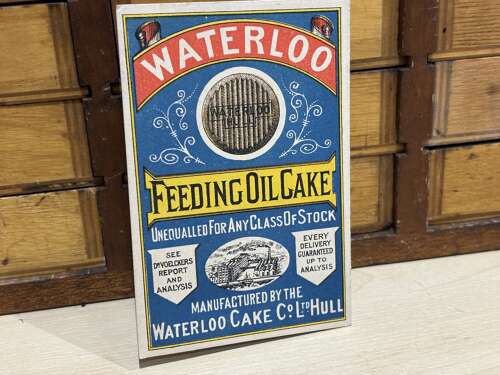 Waterloo Hull, Feeding Oil Cake Farm / Dairy Cows Advertising Trade Card Ephemera c1888
