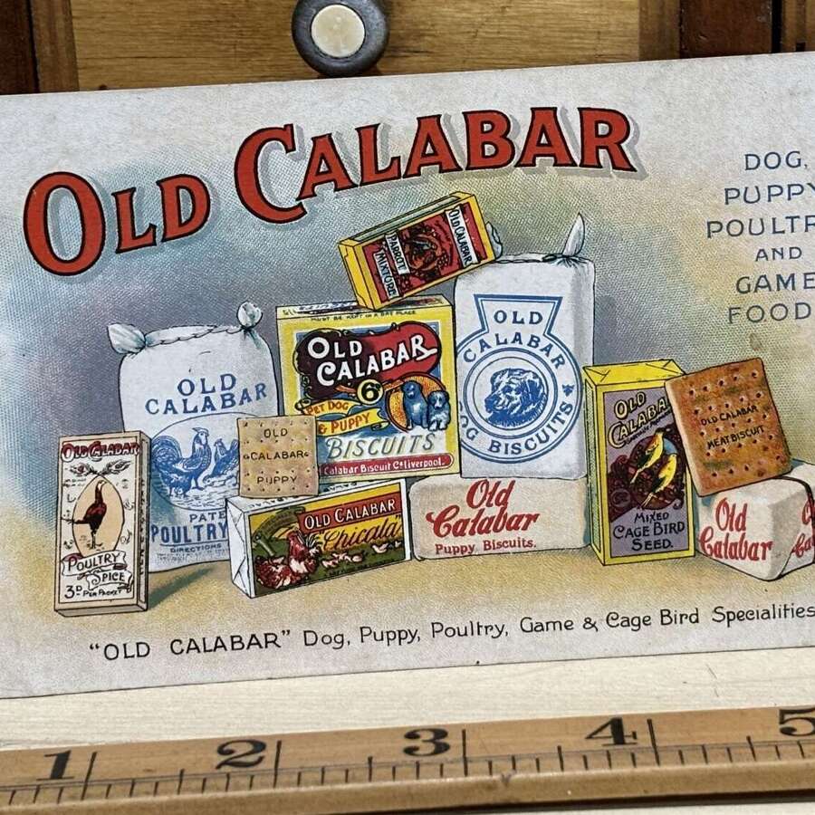 Superb Old Calaber Dog Food Biscuits Advertising Trade Post Card c1919