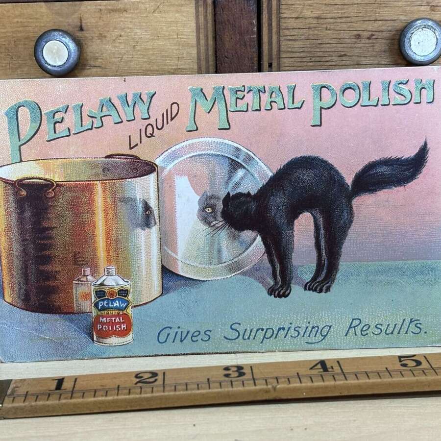 CWS Pelaw Polish Black Cat Advertising Trade/ Post Card c1900s